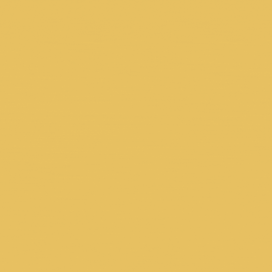 Logo de Pauline Machelart